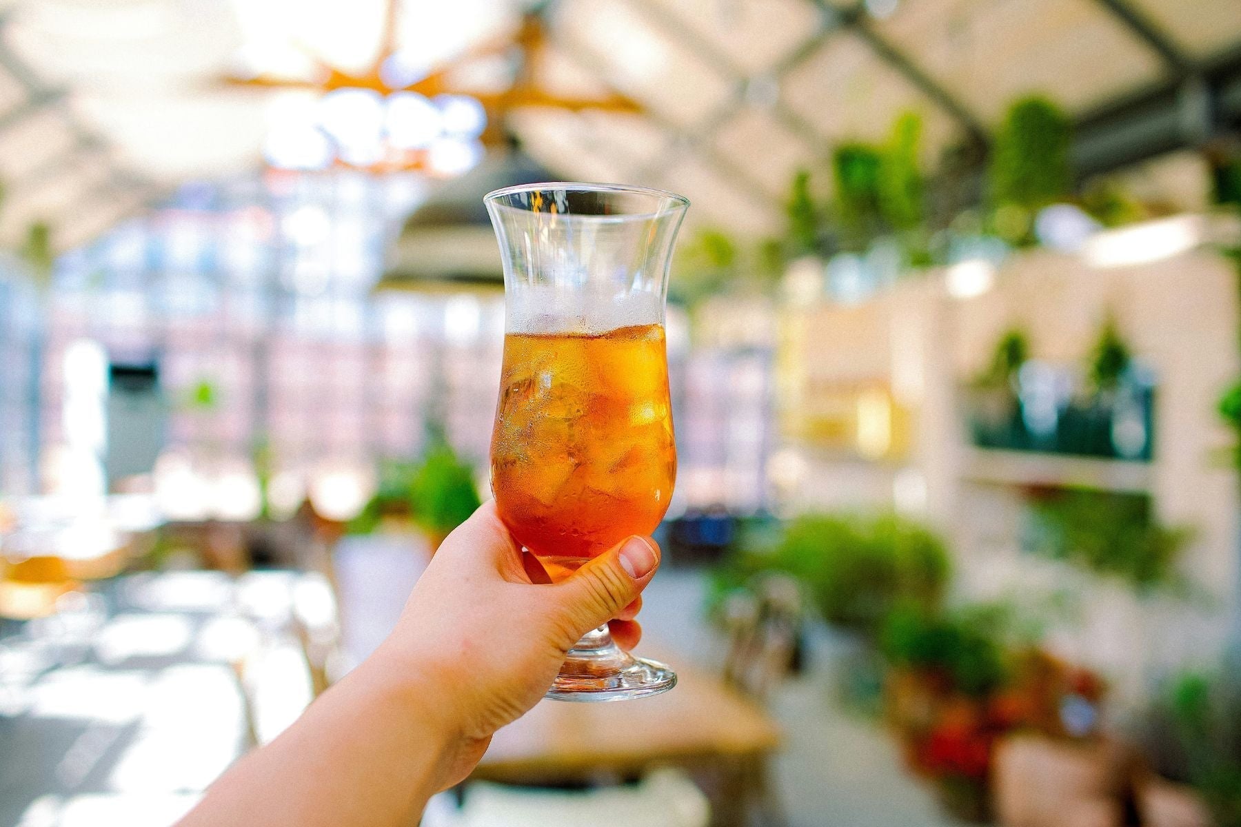 Hand raising a glass of iced tea in a bright, green indoor space.