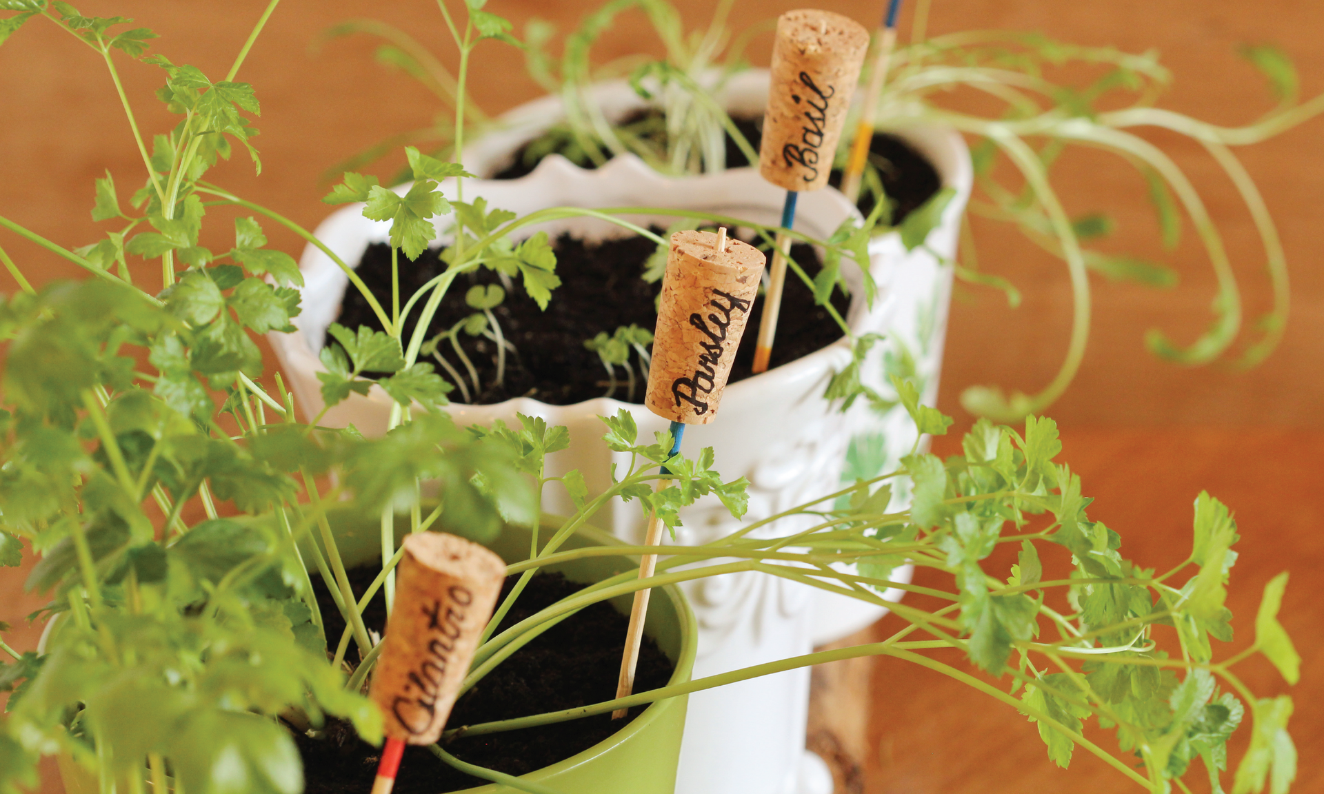 How to: DIY Herb Garden